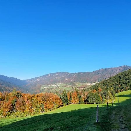 Вилла House Pucnk-Beautiful Countryside Железники Экстерьер фото