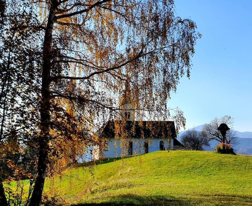 Вилла House Pucnk-Beautiful Countryside Железники Экстерьер фото