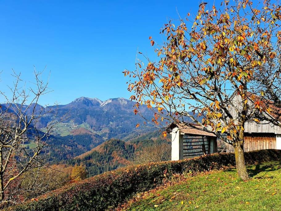 Вилла House Pucnk-Beautiful Countryside Железники Экстерьер фото